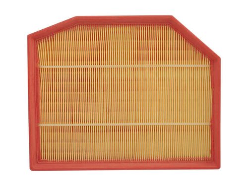 Elemento Filtro Ar Bmw X-3 06- 2.5/3.0 24V GAS / Wega FAP9031