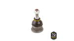 PIVO-SUSPENSAO-503140_1