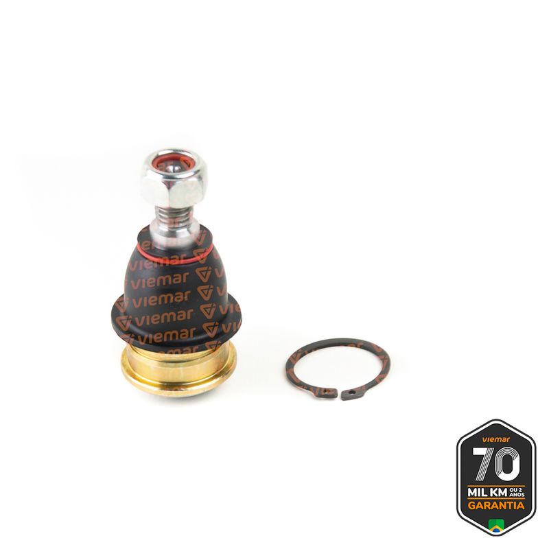 PIVO-SUSPENSAO-503378_1