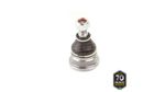 PIVO-SUSPENSAO-503138_1