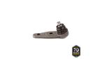 PIVO-SUSPENSAO-503031_1