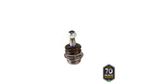 PIVO-SUSPENSAO-503286_1