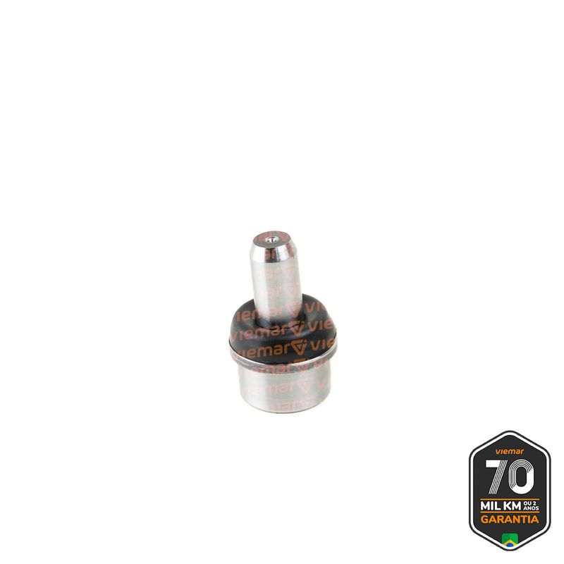 PIVO-SUSPENSAO-503036_1