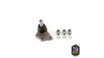 PIVO-SUSPENSAO-503174_1