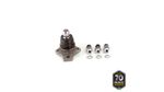 PIVO-SUSPENSAO-503012_1