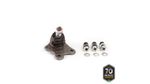 PIVO-SUSPENSAO-503157_1