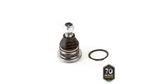 PIVO-SUSPENSAO-503089_1