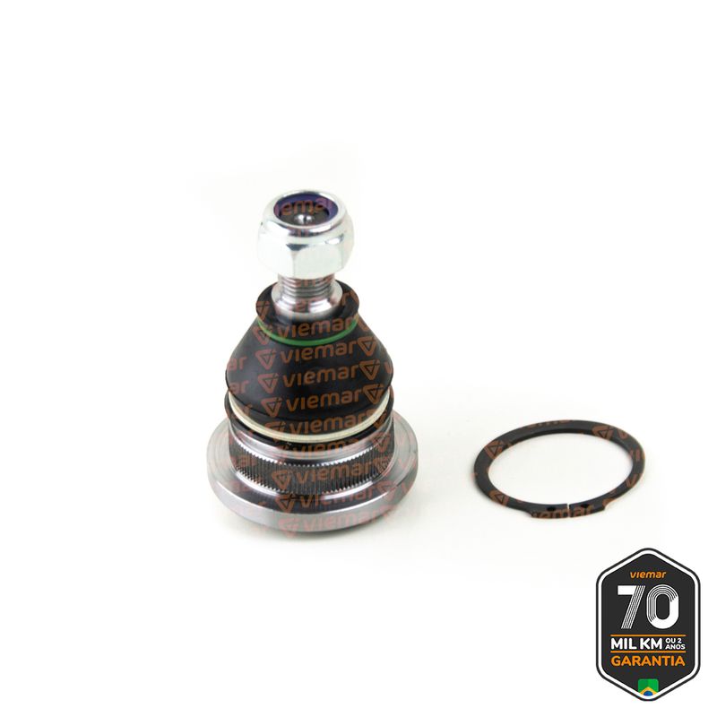 PIVO-SUSPENSAO-503089_1