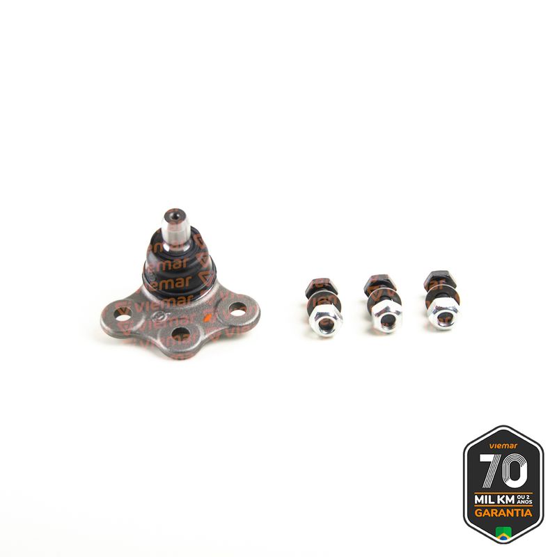 PIVO-SUSPENSAO-503142_1