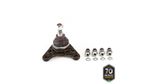 PIVO-SUSPENSAO-503271_1