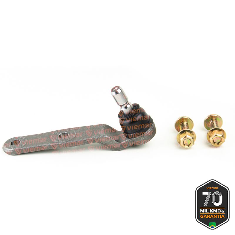 PIVO-SUSPENSAO-503379_1