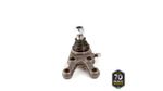 PIVO-SUSPENSAO-503148_1