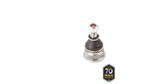 PIVO-SUSPENSAO-503138_2