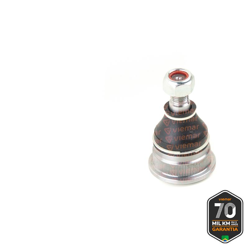 PIVO-SUSPENSAO-503138_2