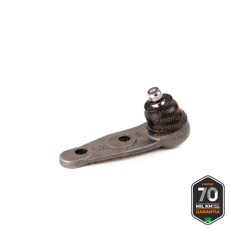 PIVO-SUSPENSAO-503031_2