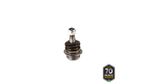 PIVO-SUSPENSAO-503286_2