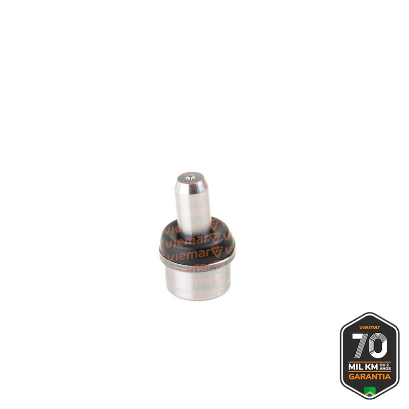 PIVO-SUSPENSAO-503036_2