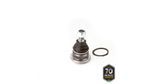 PIVO-SUSPENSAO-503089_2
