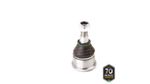 PIVO-SUSPENSAO-503048_2