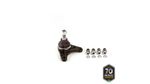 PIVO-SUSPENSAO-503271_2