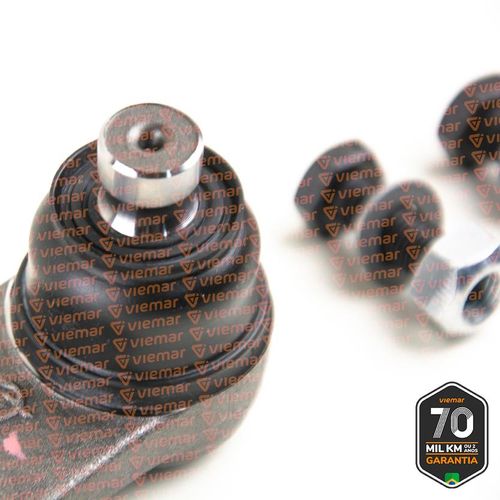 Pivo Suspensao (infer) (10mm) (c/dh) Renault Clio 96-03 / Viemar 503010