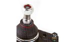 PIVO-SUSPENSAO-503271_3