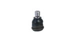 PIVO-SUSPENSAO-PSC08011M