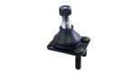 PIVO-SUSPENSAO-PSC08001M
