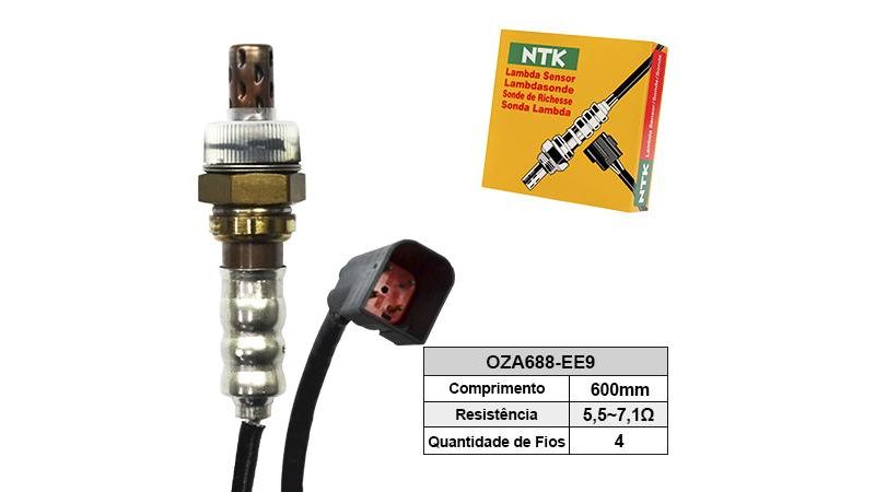 サリィ Música da Mulher Gato: Atrações e Aventura | TikTok